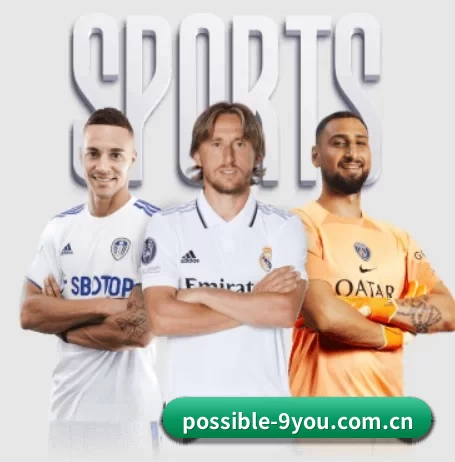 possible-9you.com.cn的故事